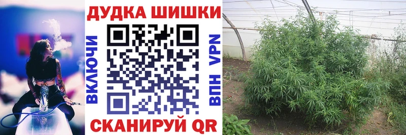 купить наркотик  Новая Усмань  hydra ссылка  Шишки марихуана Bruce Banner 